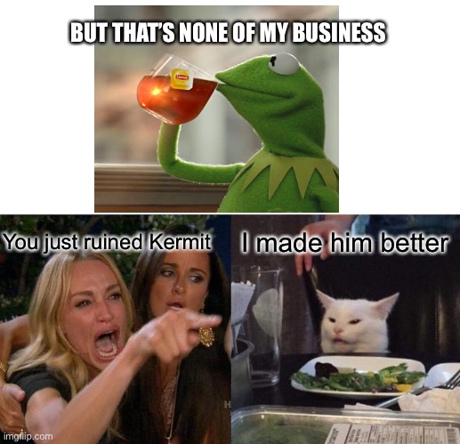 Woman Yelling At Cat | BUT THAT’S NONE OF MY BUSINESS; You just ruined Kermit; I made him better | image tagged in memes,woman yelling at cat | made w/ Imgflip meme maker