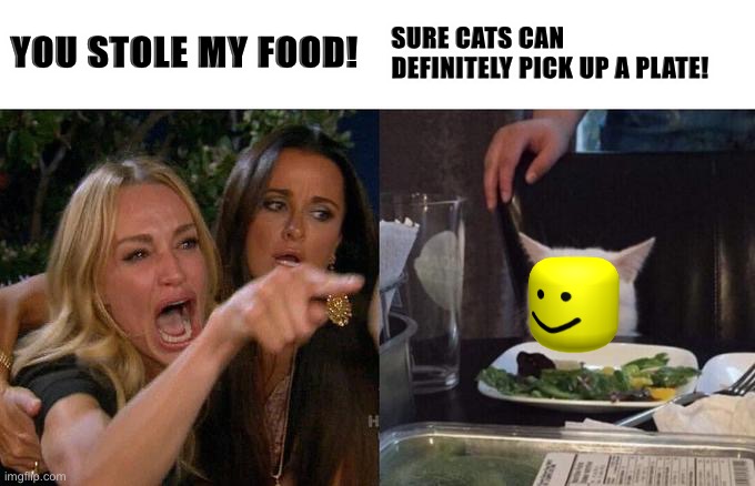 Woman Yelling At Cat Meme | YOU STOLE MY FOOD! SURE CATS CAN DEFINITELY PICK UP A PLATE! | image tagged in memes,woman yelling at cat | made w/ Imgflip meme maker