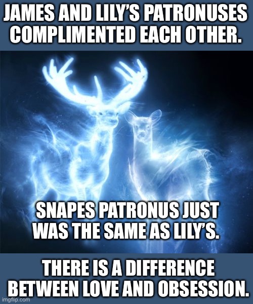 That is all I will say. | JAMES AND LILY’S PATRONUSES COMPLIMENTED EACH OTHER. SNAPES PATRONUS JUST WAS THE SAME AS LILY’S. THERE IS A DIFFERENCE BETWEEN LOVE AND OBSESSION. | made w/ Imgflip meme maker