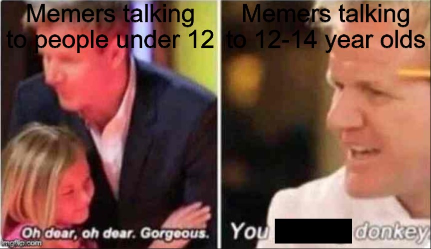 Stop the online bullying to 12-14 year olds! |  Memers talking to people under 12; Memers talking to 12-14 year olds | image tagged in oh dear oh dear gorgeous | made w/ Imgflip meme maker