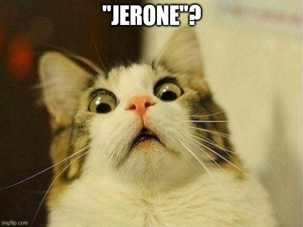 Scared Cat Meme | "JERONE"? | image tagged in memes,scared cat | made w/ Imgflip meme maker