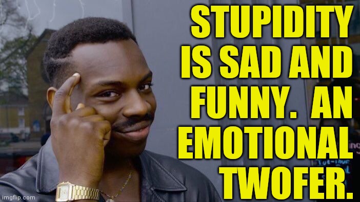 Roll Safe Think About It Meme | STUPIDITY
IS SAD AND
FUNNY.  AN
EMOTIONAL
TWOFER. | image tagged in memes,roll safe think about it | made w/ Imgflip meme maker