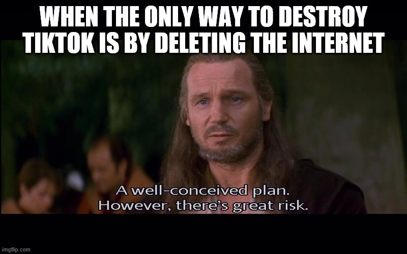 A well conceived plan however there's great risk | WHEN THE ONLY WAY TO DESTROY TIKTOK IS BY DELETING THE INTERNET | image tagged in a well conceived plan however there's great risk | made w/ Imgflip meme maker