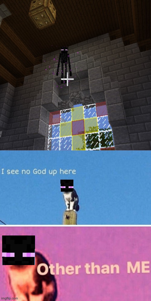 cursed enderman | image tagged in hail pole cat | made w/ Imgflip meme maker