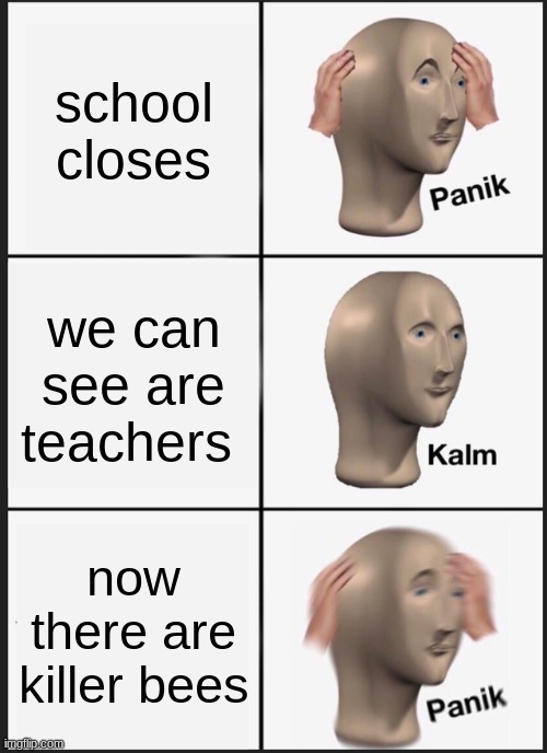 Panik Kalm Panik | school closes; we can see are teachers; now there are killer bees | image tagged in memes,panik kalm panik | made w/ Imgflip meme maker