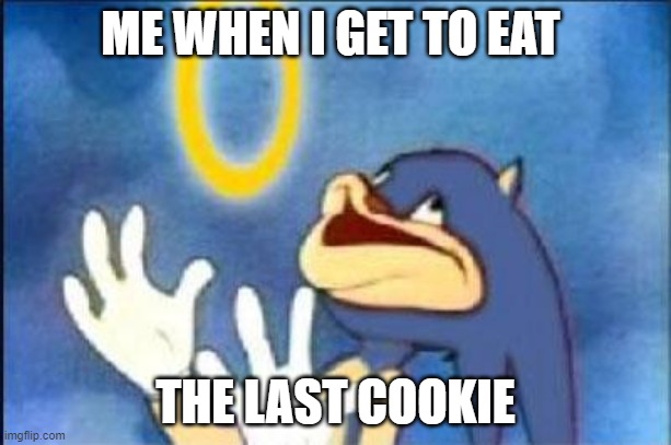 Sonic derp | ME WHEN I GET TO EAT; THE LAST COOKIE | image tagged in sonic derp | made w/ Imgflip meme maker