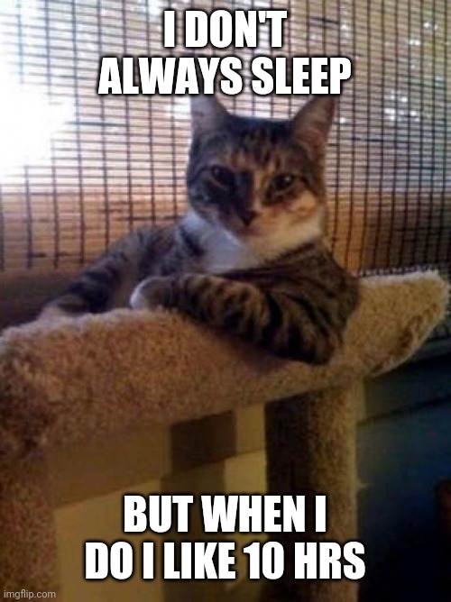 The Most Interesting Cat In The World | I DON'T ALWAYS SLEEP; BUT WHEN I DO I LIKE 10 HRS | image tagged in memes,the most interesting cat in the world | made w/ Imgflip meme maker