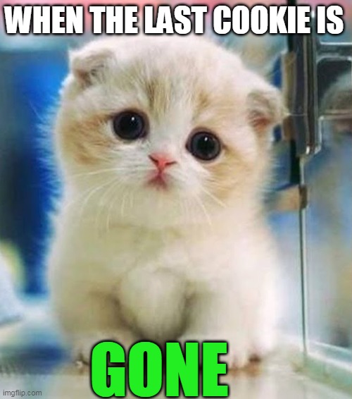 The last cookie | WHEN THE LAST COOKIE IS; GONE | image tagged in sad cat | made w/ Imgflip meme maker