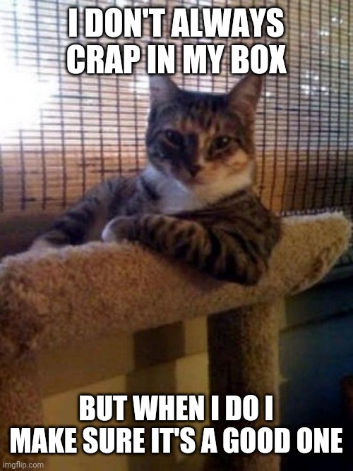 The Most Interesting Cat In The World | I DON'T ALWAYS CRAP IN MY BOX; BUT WHEN I DO I MAKE SURE IT'S A GOOD ONE | image tagged in memes,the most interesting cat in the world | made w/ Imgflip meme maker