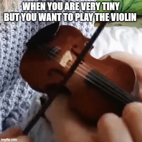 Mr Tiny | WHEN YOU ARE VERY TINY BUT YOU WANT TO PLAY THE VIOLIN | image tagged in music | made w/ Imgflip meme maker