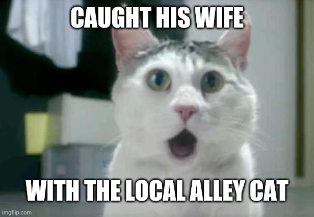 OMG Cat | CAUGHT HIS WIFE; WITH THE LOCAL ALLEY CAT | image tagged in memes,omg cat | made w/ Imgflip meme maker