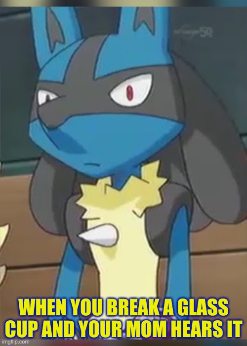 Beware Of Moms | WHEN YOU BREAK A GLASS CUP AND YOUR MOM HEARS IT | image tagged in lucario | made w/ Imgflip meme maker