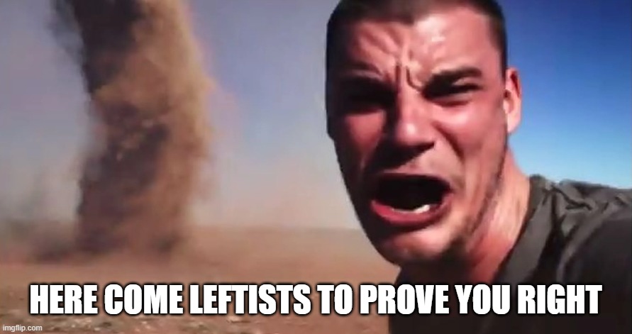 here it comes | HERE COME LEFTISTS TO PROVE YOU RIGHT | image tagged in here it comes | made w/ Imgflip meme maker