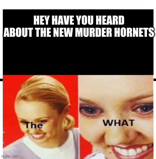 First meme I have made... | HEY HAVE YOU HEARD ABOUT THE NEW MURDER HORNETS | image tagged in first meme | made w/ Imgflip meme maker
