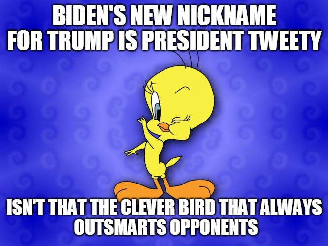President Tweety | BIDEN'S NEW NICKNAME FOR TRUMP IS PRESIDENT TWEETY; ISN'T THAT THE CLEVER BIRD THAT ALWAYS
 OUTSMARTS OPPONENTS | image tagged in tweety bird,trump,biden,nickname,clever,outsmart | made w/ Imgflip meme maker