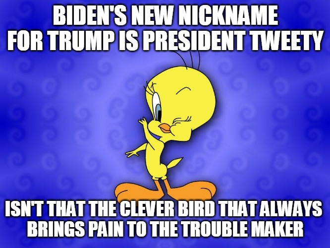 President Tweety | BIDEN'S NEW NICKNAME FOR TRUMP IS PRESIDENT TWEETY; ISN'T THAT THE CLEVER BIRD THAT ALWAYS 
BRINGS PAIN TO THE TROUBLE MAKER | image tagged in tweety bird,nickname,trump,biden,pain,bird | made w/ Imgflip meme maker