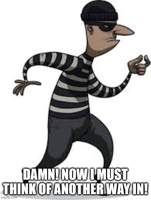 burglar | DAMN! NOW I MUST THINK OF ANOTHER WAY IN! | image tagged in burglar | made w/ Imgflip meme maker