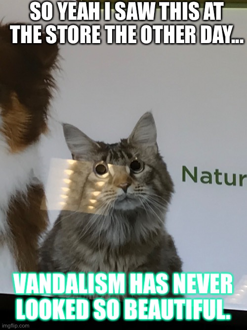 Vandalism | SO YEAH I SAW THIS AT THE STORE THE OTHER DAY... VANDALISM HAS NEVER LOOKED SO BEAUTIFUL. | image tagged in funny | made w/ Imgflip meme maker