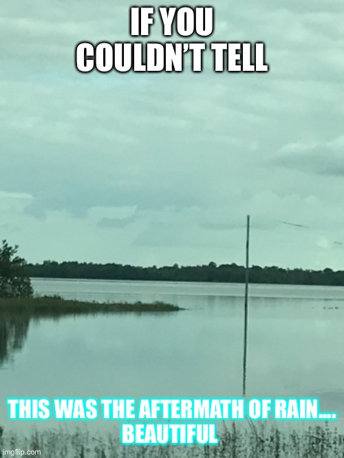 Flood | IF YOU COULDN’T TELL; THIS WAS THE AFTERMATH OF RAIN....

BEAUTIFUL | image tagged in funny | made w/ Imgflip meme maker