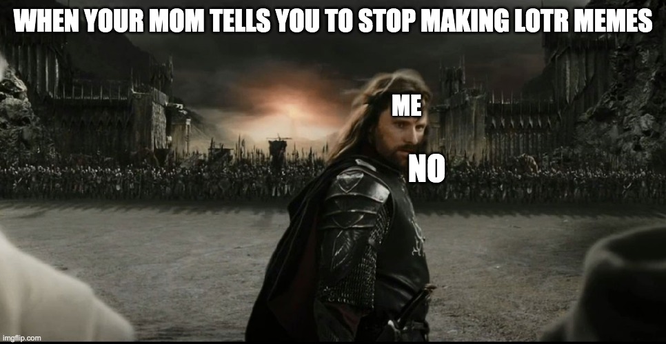 lotr | WHEN YOUR MOM TELLS YOU TO STOP MAKING LOTR MEMES; ME; NO | image tagged in lotr meme | made w/ Imgflip meme maker