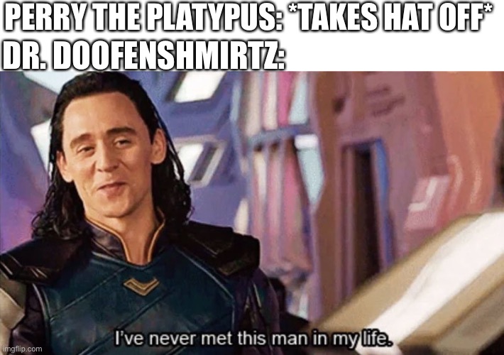 Dr. Doofenshmirtz is a hard name to spell god damnit | PERRY THE PLATYPUS: *TAKES HAT OFF*; DR. DOOFENSHMIRTZ: | image tagged in i have never met this man in my life | made w/ Imgflip meme maker