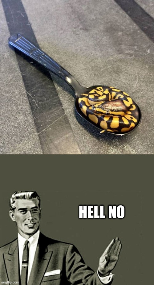 SPOONFUL OF SNAKE? | HELL NO | image tagged in nope,memes,snake | made w/ Imgflip meme maker