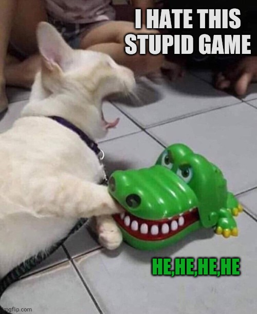 CATS PARTY | I HATE THIS STUPID GAME; HE,HE,HE,HE | image tagged in crocodile dentist cat,meme,rage,party,cat,another one bites the dust | made w/ Imgflip meme maker