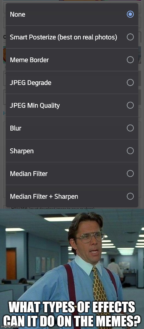 What are the effects on Imgflip? | WHAT TYPES OF EFFECTS CAN IT DO ON THE MEMES? | image tagged in memes,that would be great | made w/ Imgflip meme maker