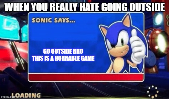 sonic hates you | WHEN YOU REALLY HATE GOING OUTSIDE; GO OUTSIDE BRO THIS IS A HORRABLE GAME | image tagged in sonic says | made w/ Imgflip meme maker