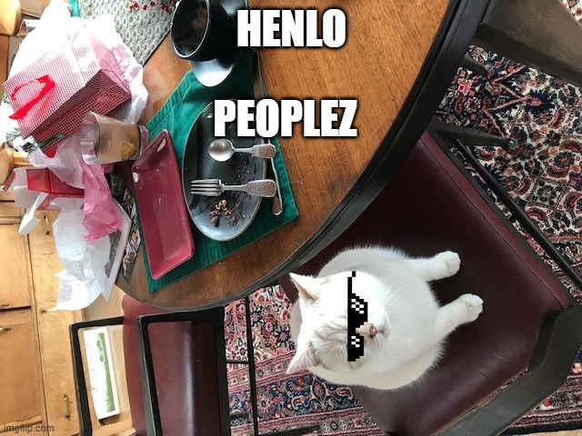 The cat that wanted to be flip famous | HENLO; PEOPLEZ | image tagged in cats,cats are awesome | made w/ Imgflip meme maker
