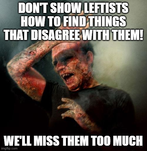 burning vampire | DON'T SHOW LEFTISTS HOW TO FIND THINGS THAT DISAGREE WITH THEM! WE'LL MISS THEM TOO MUCH | image tagged in burning vampire | made w/ Imgflip meme maker