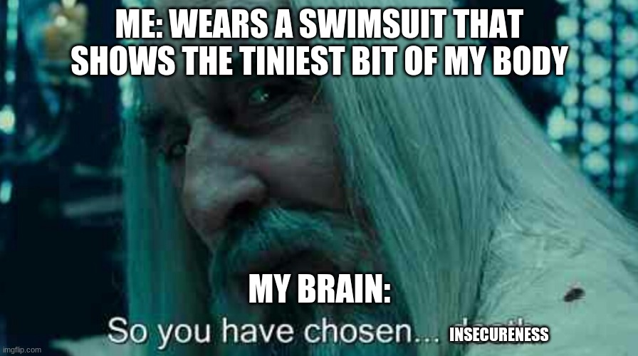 no cap bro | ME: WEARS A SWIMSUIT THAT SHOWS THE TINIEST BIT OF MY BODY; MY BRAIN:; INSECURENESS | image tagged in so you have chosen death | made w/ Imgflip meme maker