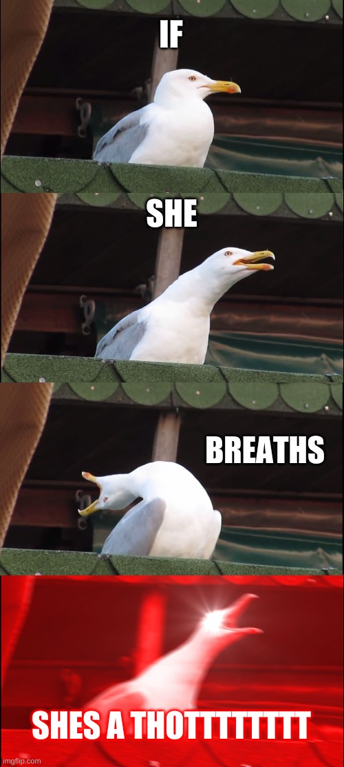 all women are queen! | IF; SHE; BREATHS; SHES A THOTTTTTTTT | image tagged in memes,inhaling seagull | made w/ Imgflip meme maker