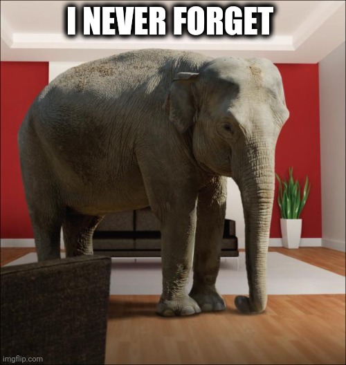 Elephant In The Room | I NEVER FORGET | image tagged in elephant in the room | made w/ Imgflip meme maker