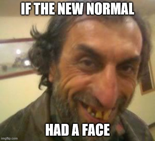 Ugly Guy | IF THE NEW NORMAL; HAD A FACE | image tagged in ugly guy,covid-19,covidiots,quarantine,news,fake news | made w/ Imgflip meme maker