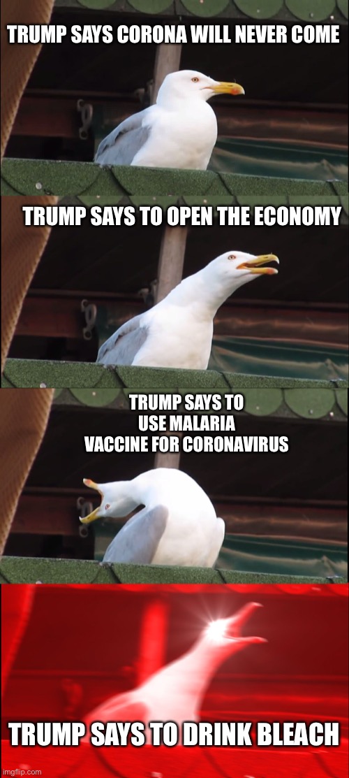 Inhaling Seagull | TRUMP SAYS CORONA WILL NEVER COME; TRUMP SAYS TO OPEN THE ECONOMY; TRUMP SAYS TO USE MALARIA VACCINE FOR CORONAVIRUS; TRUMP SAYS TO DRINK BLEACH | image tagged in memes,inhaling seagull | made w/ Imgflip meme maker