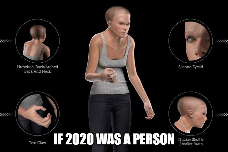 If 2020 Was A Person | IF 2020 WAS A PERSON | image tagged in if 2020 was a person | made w/ Imgflip meme maker