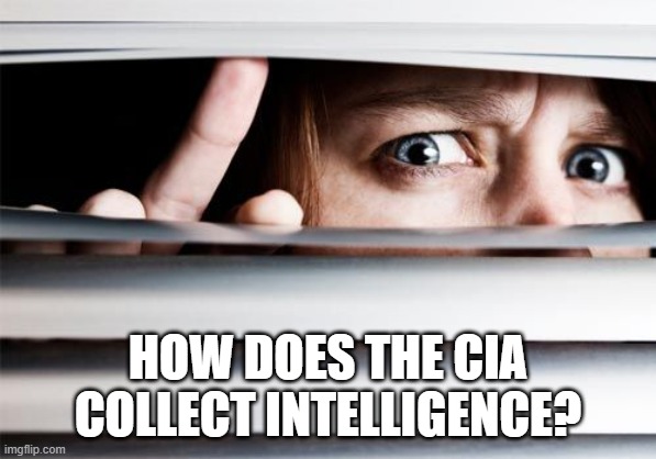 spy | HOW DOES THE CIA COLLECT INTELLIGENCE? | image tagged in spy | made w/ Imgflip meme maker