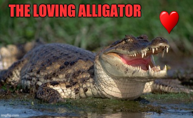 Loving alligator Blank Meme Template
