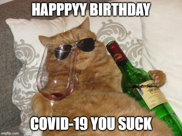 covid-199999999 | HAPPPYY BIRTHDAY; COVID-19 YOU SUCK | image tagged in funny cat birthday | made w/ Imgflip meme maker