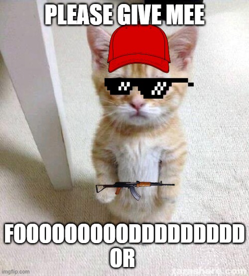 funnn | PLEASE GIVE MEE; FOOOOOOOOODDDDDDDDD OR | image tagged in memes,cute cat | made w/ Imgflip meme maker
