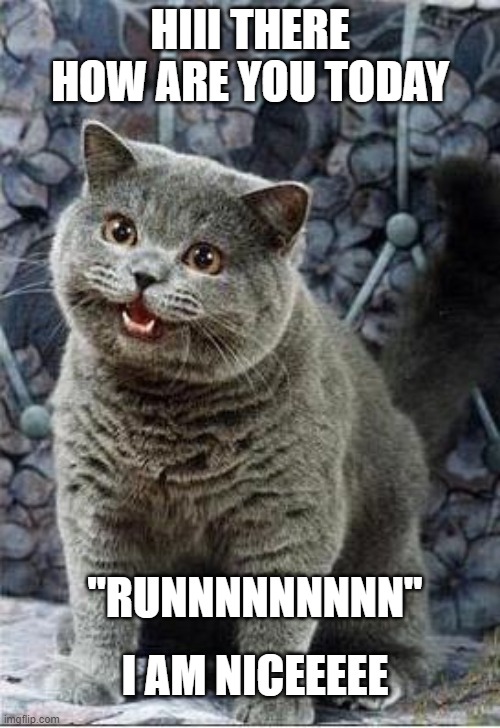 funnyyy | HIII THERE HOW ARE YOU TODAY; "RUNNNNNNNNN"; I AM NICEEEEE | image tagged in i can has cheezburger cat | made w/ Imgflip meme maker