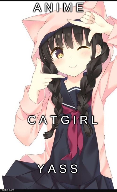 anime cat girl yass | A N I M E; C A T G I R L; Y A S S | image tagged in cat girl | made w/ Imgflip meme maker