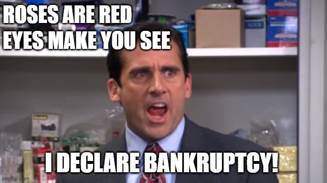 Roses Are Red (The Office) | ROSES ARE RED; EYES MAKE YOU SEE; I DECLARE BANKRUPTCY! | image tagged in the office bankruptcy,roses are red,bankruptcy,sea,valentine's day | made w/ Imgflip meme maker
