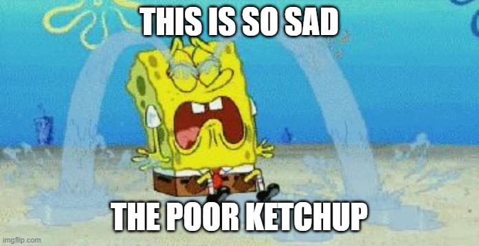 cryin | THIS IS SO SAD THE POOR KETCHUP | image tagged in cryin | made w/ Imgflip meme maker