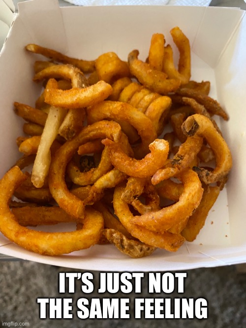 Lone fry | IT’S JUST NOT THE SAME FEELING | image tagged in french fries | made w/ Imgflip meme maker