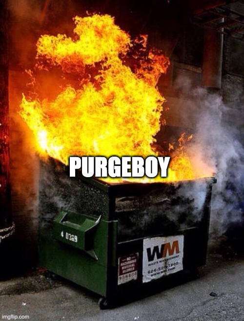 Dumpster Fire | PURGEBOY | image tagged in dumpster fire | made w/ Imgflip meme maker