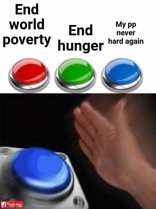 Three Buttons | End world poverty End hunger My pp never hard again | image tagged in three buttons | made w/ Imgflip meme maker