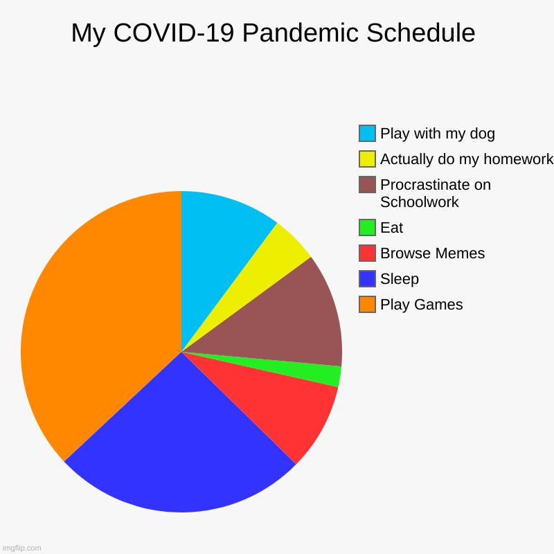 My Schedule | My COVID-19 Pandemic Schedule | Play Games, Sleep, Browse Memes, Eat, Procrastinate on Schoolwork, Actually do my homework, Play with my dog | image tagged in charts,pie charts | made w/ Imgflip chart maker