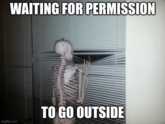 You don't live in North Korea | WAITING FOR PERMISSION; TO GO OUTSIDE | image tagged in coronavirus,tyranny | made w/ Imgflip meme maker